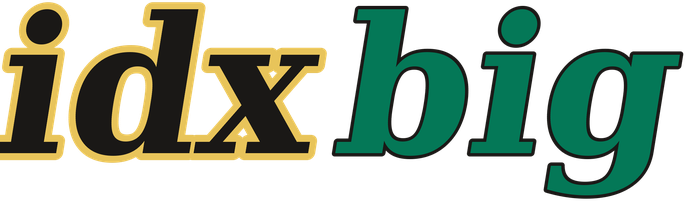 idxbig logo